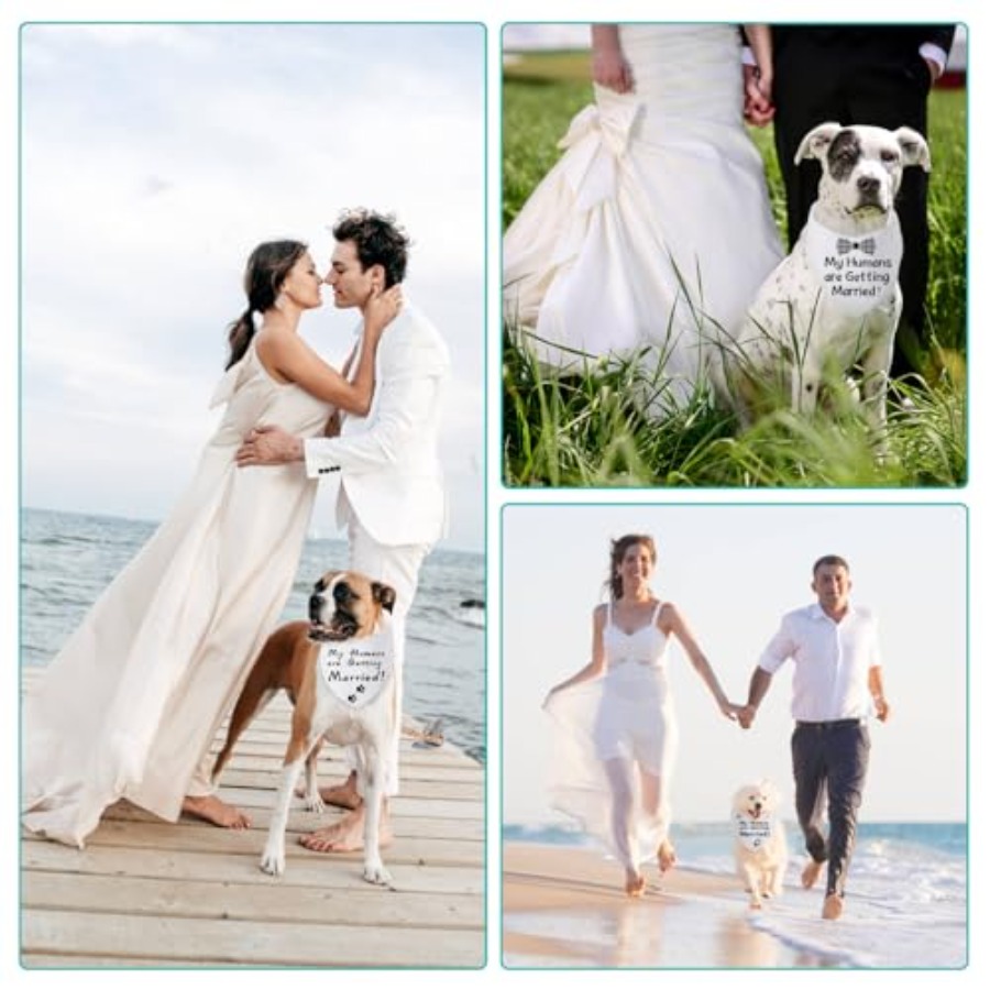 Blank Dog Bandanas Large-1PCS, - Bandana Blank White incelemesi ve fiyatı